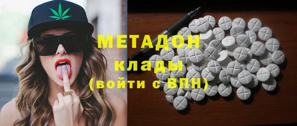 прущие грибы Медногорск