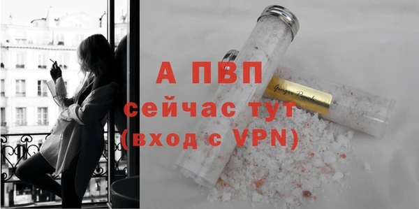 прущие грибы Медногорск
