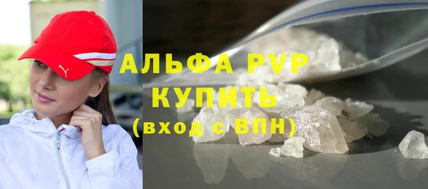 прущие грибы Медногорск