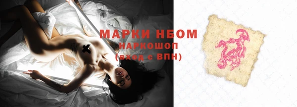 прущие грибы Медногорск