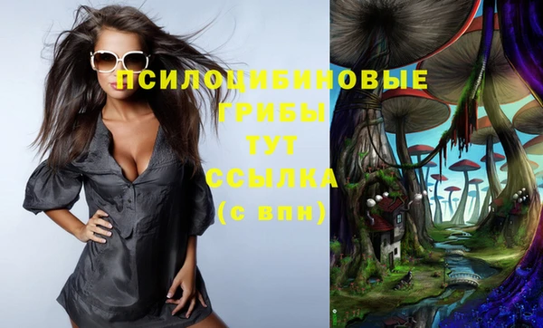 jwh Медвежьегорск