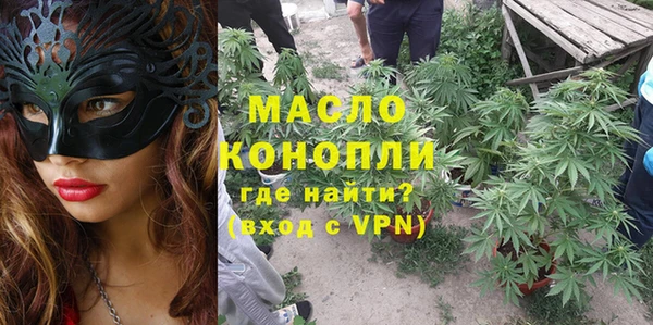 прущие грибы Медногорск