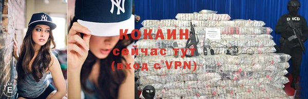 прущие грибы Медногорск