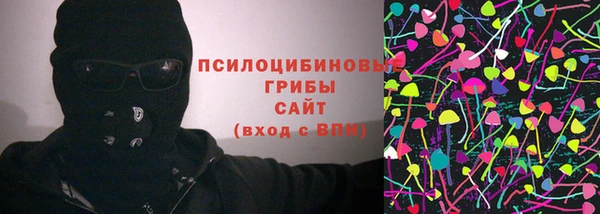 прущие грибы Медногорск