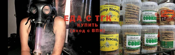 прущие грибы Медногорск