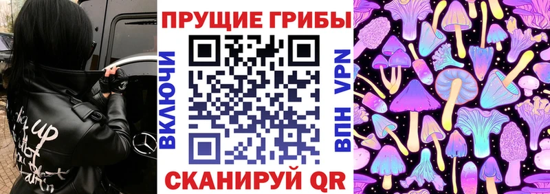 KRAKEN сайт  Свободный  Галлюциногенные грибы мухоморы 